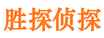 迎江侦探公司